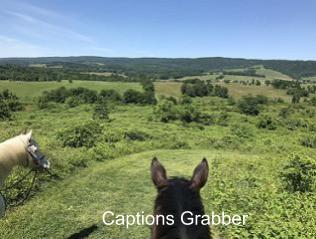 DIYCaptions logo